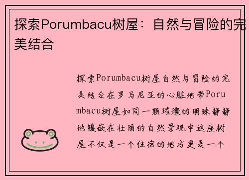 探索Porumbacu树屋：自然与冒险的完美结合